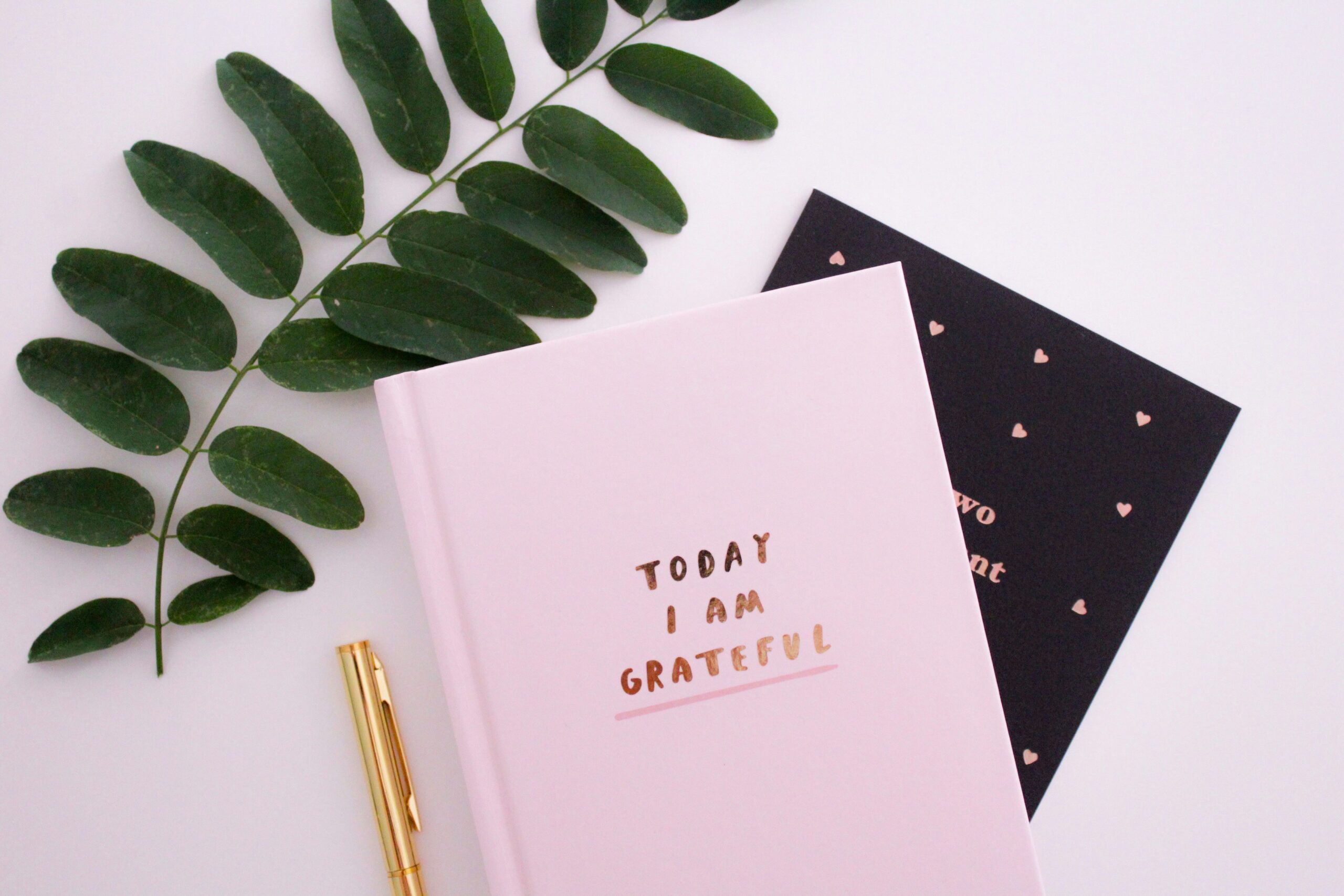gratitude journal is a helpful practice year round