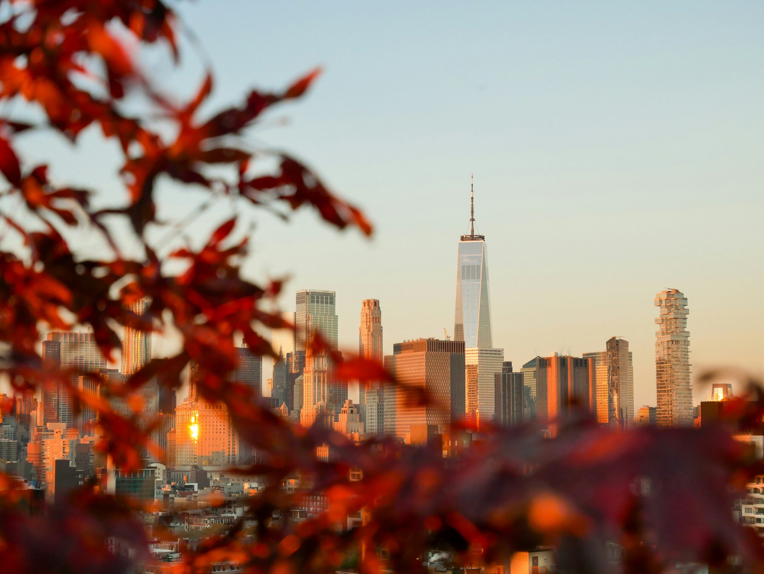 Fall Transitions: Emotional Wellness Tips