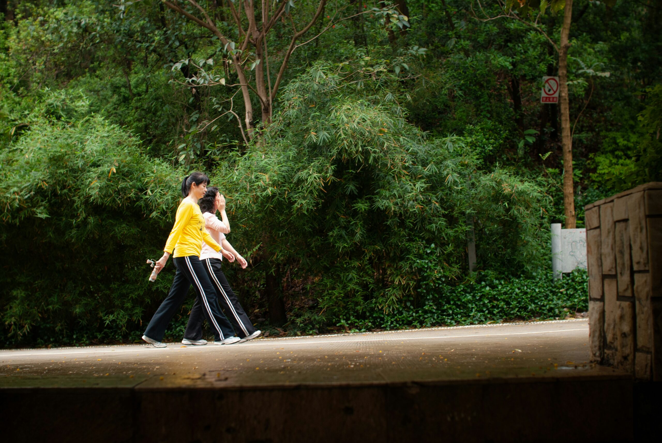 Move Through Stress: How Physical Activity Can Support Emotional Well-Being