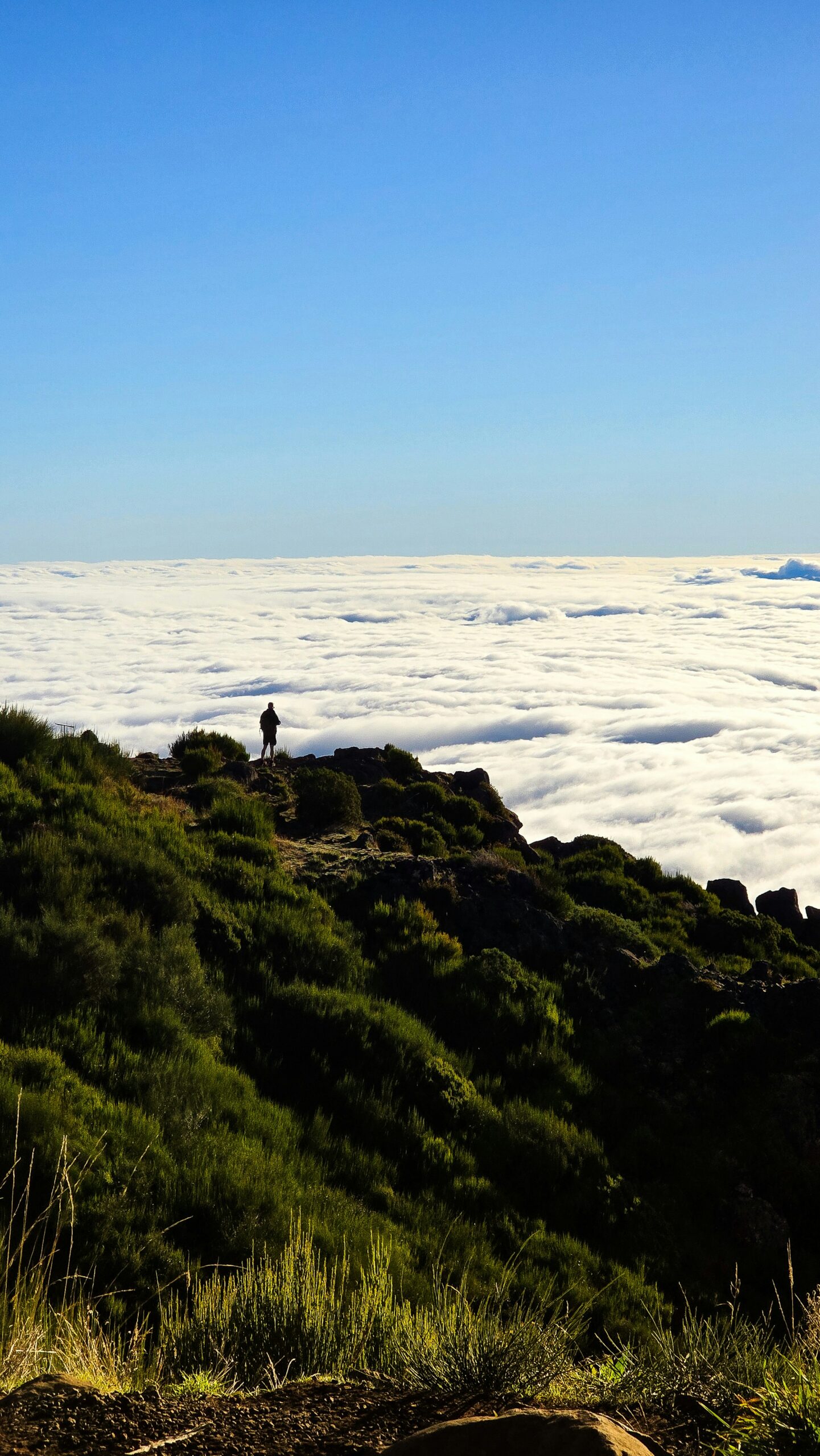 Why High Achievers Have Such a Hard Time Asking for Help