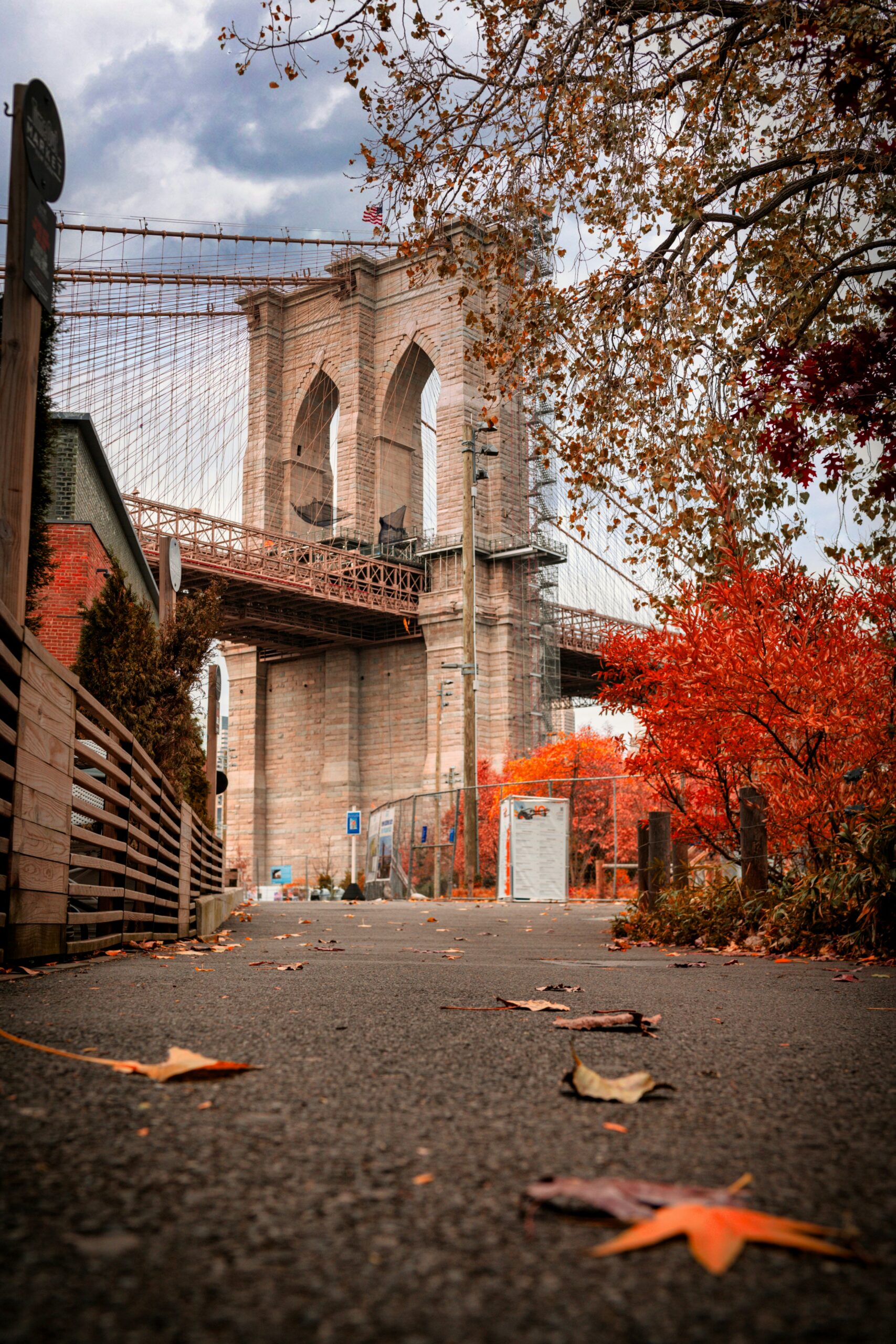 The Psychology of a Fresh Start: Why Fall Makes Us Want to Get Our Lives Together